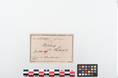 Etiketten zu Bronzearmreif (NHMW-PRAE-024292)
